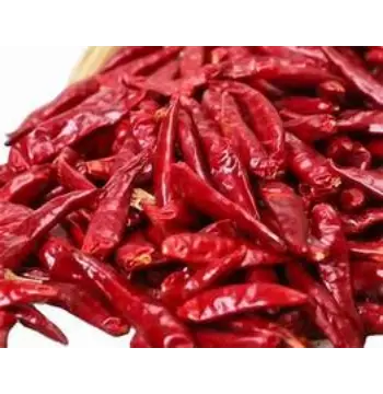 Organic Guntur Dry Red Chilli