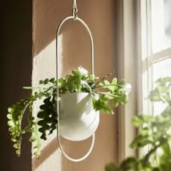 Sunbeam Exports Hanging Basket
