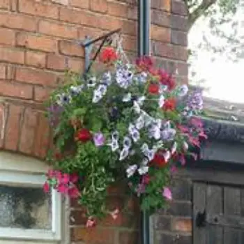 Antique Hanging Basket