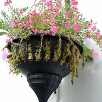 Hanging Basket