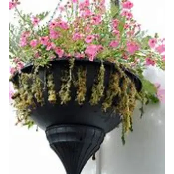 Solid Hanging Basket