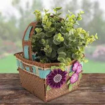 Wonder World Hanging Basket
