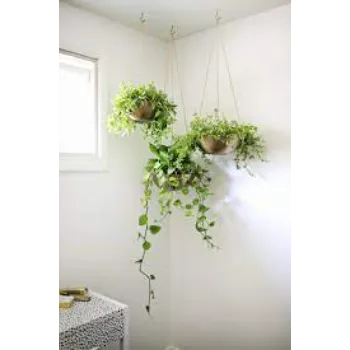 J S Hanging Basket