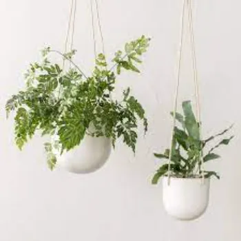 VIP Hanging Basket