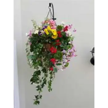  Hanging Basket