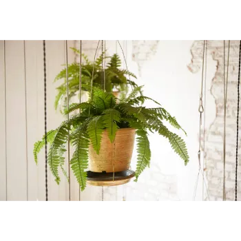 Lorfy Hanging Basket