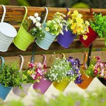 Symbio Hanging Basket