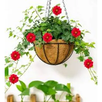 Sunshine Hanging Basket