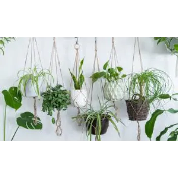 Good Hanging Basket