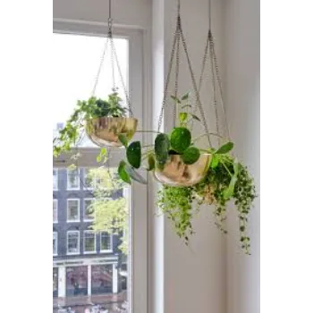 Neelkanth Hanging Basket