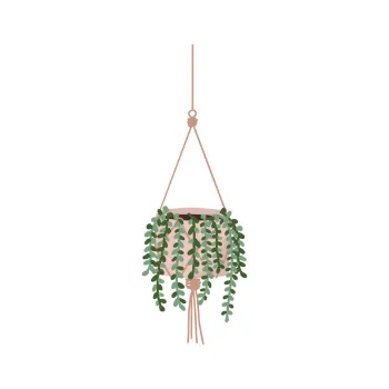 Designer Hanging Basket