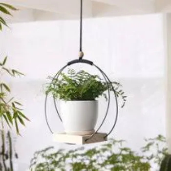 Volo Global Hanging Basket