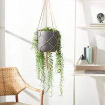 Vision Hanging Basket 