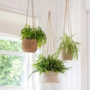 Standard Hanging Basket