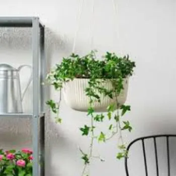 PI Hanging Basket
