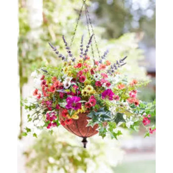Viren Enterprises Hanging Basket