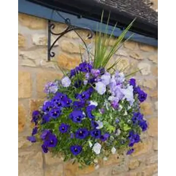 Good Hanging Basket