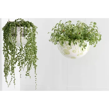 Eco Friendly Hanging Basket