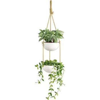 Fancy Hanging Basket
