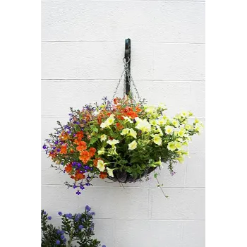 Solid Hanging Basket 