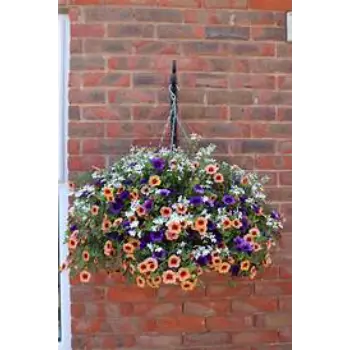 Unique Hanging Basket