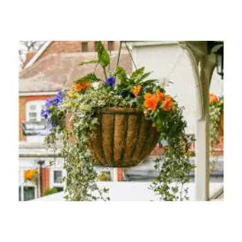 Max Hanging Basket