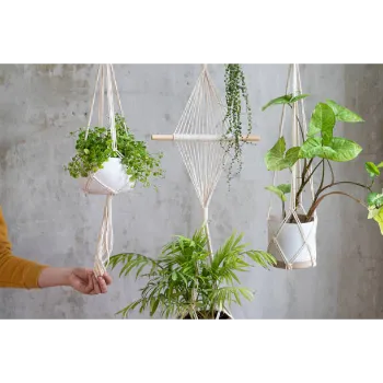 World Hanging Basket