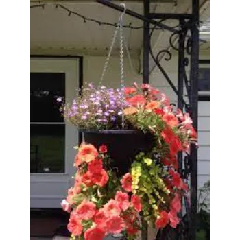 Super Shopee Hanging Basket