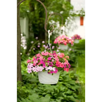 Modern Hanging Basket