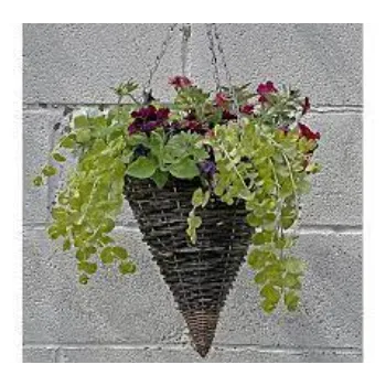 Art Hanging Basket