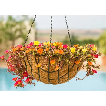 Om Hanging Basket
