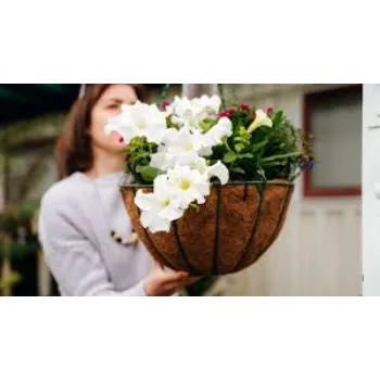 Hanging Basket Brown Color