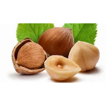  Hazelnut