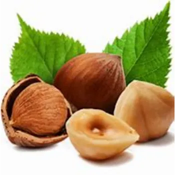 Common Hazelnut