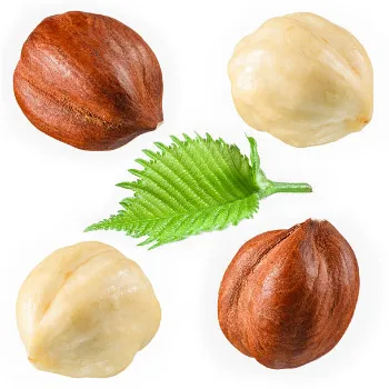 Hazelnut