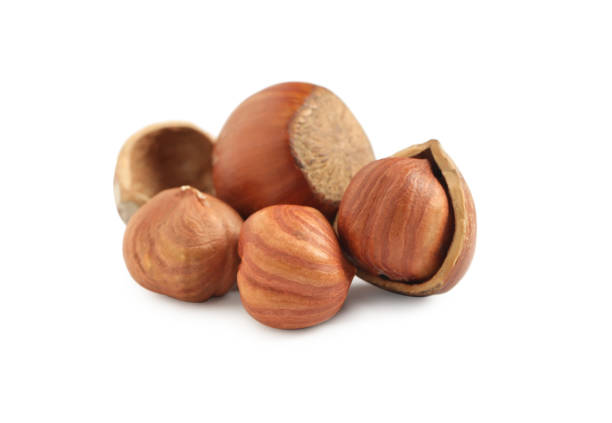 Natural Hazelnut
