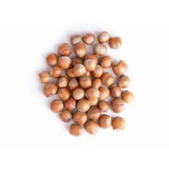 Natural Hazelnut