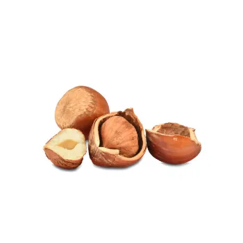 Fresh Hazelnut
