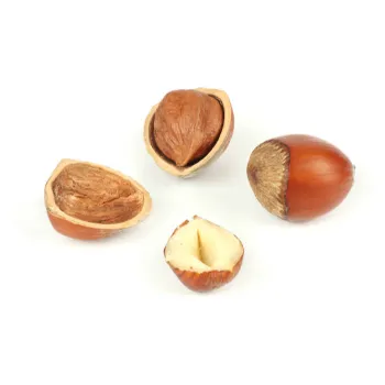 Organic Hazelnut