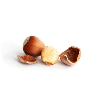 Fresh Hazelnut