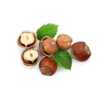 Organic  Hazelnut