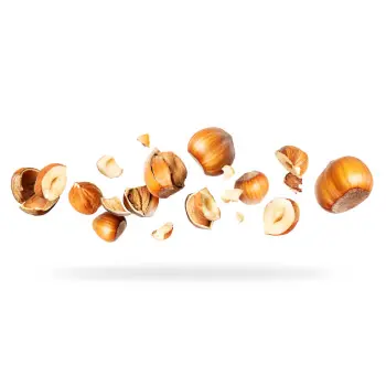 Fresh  Hazelnut
