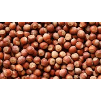 Natural Hazelnuts