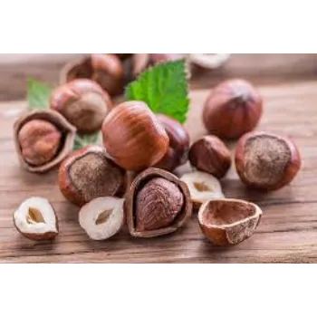 Common Hazelnuts