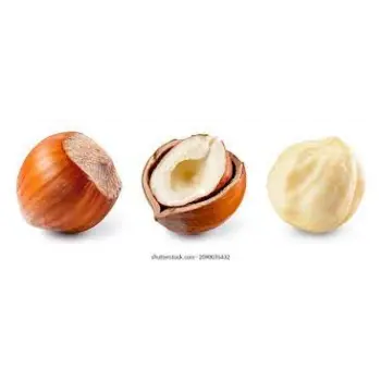 Common Hazelnuts