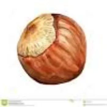 Organic Hazelnuts