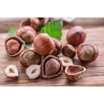 Organic Hazelnuts