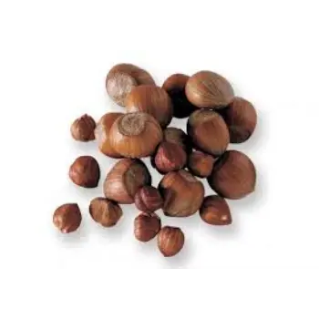 Common Hazelnuts