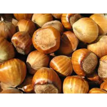 Natural Hazelnuts 
