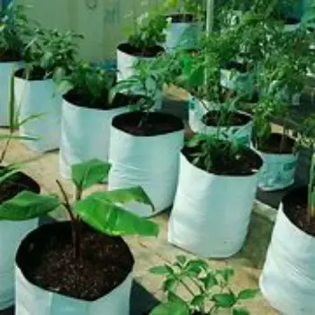Fine Quality HDPE Grow Bags